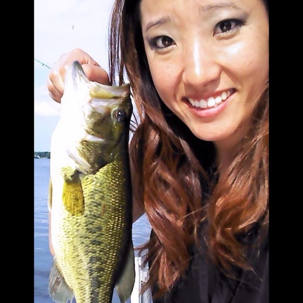 A photo of baitfish's catch