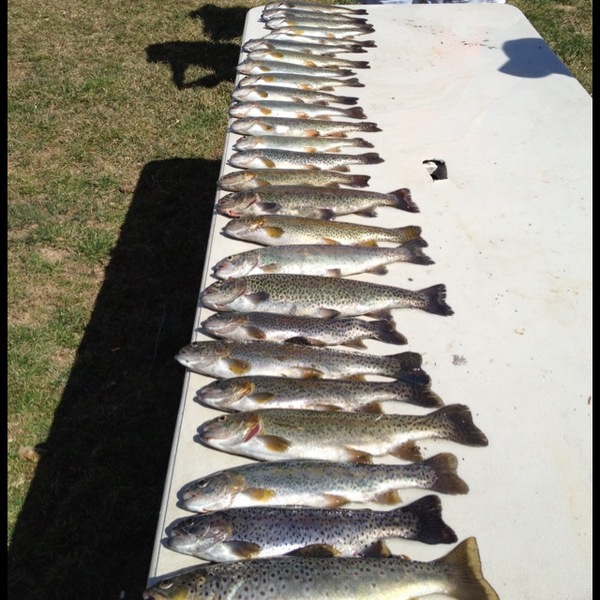 A photo of masonschuler's catch