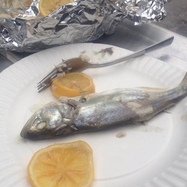 A photo of reel_it's catch