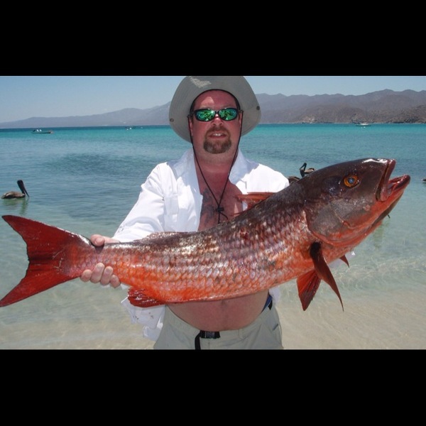 A photo of gmitch's catch