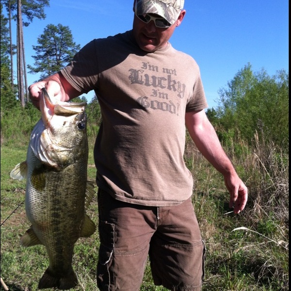A photo of bassassasinssg's catch