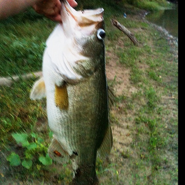 A photo of Michael Rodriguez's catch