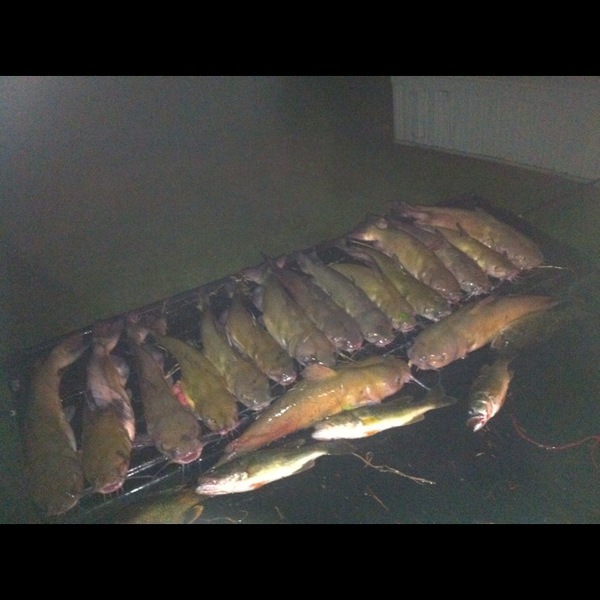 A photo of trevor carr's catch