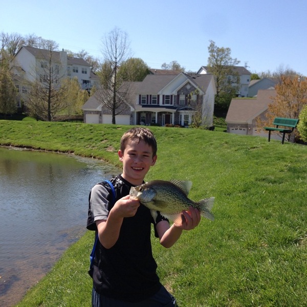 A photo of gone_fishin's catch