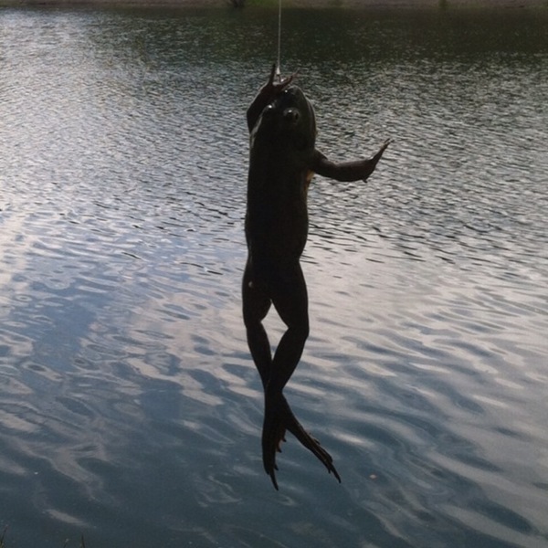 A photo of ninjatk's catch