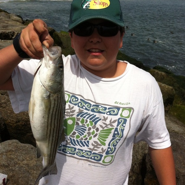 A photo of justingoodman109's catch