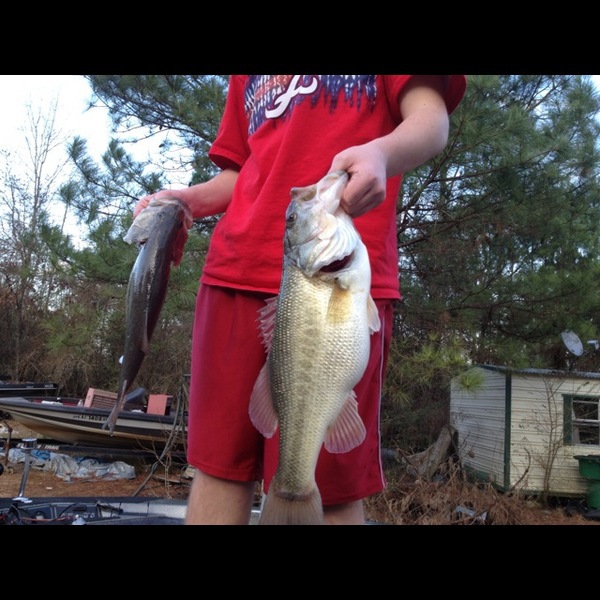 A photo of _Nike_20's catch