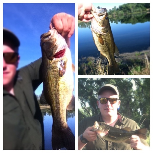 A photo of Taylor  Taylor 's catch