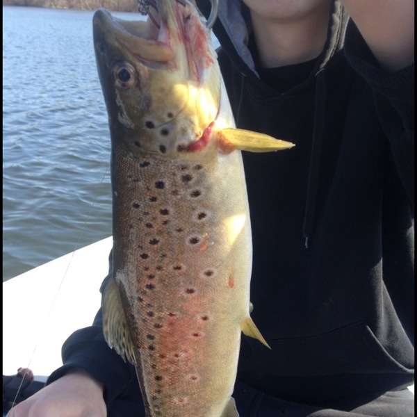 A photo of Rhody401's catch