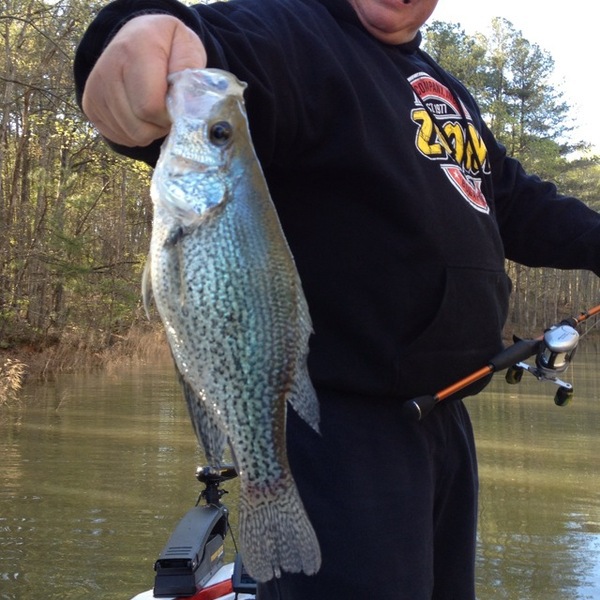 A photo of basscommander23's catch