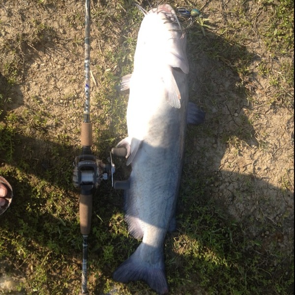 A photo of MasonForman's catch