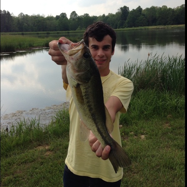 A photo of NealForbes's catch