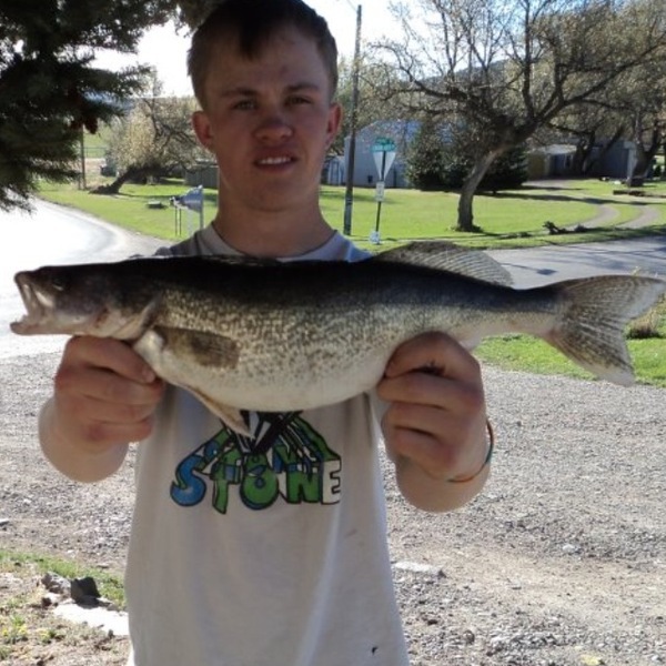 A photo of tpick21's catch