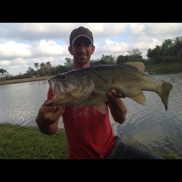 A photo of flatzattacker's catch