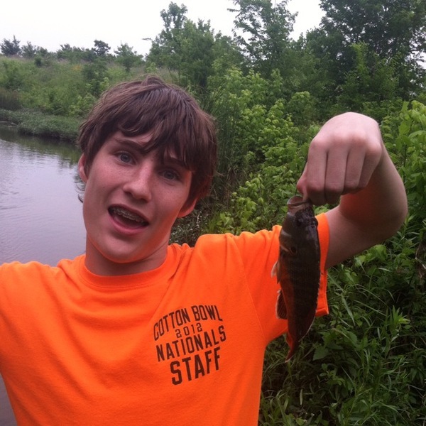 A photo of itslittlewilly's catch