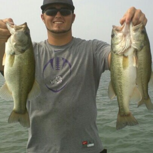 A photo of Mr Fisherman's catch