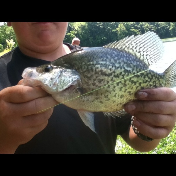 A photo of fisherman13's catch