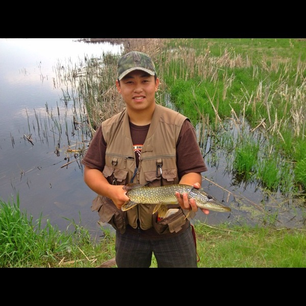 A photo of baitfish's catch