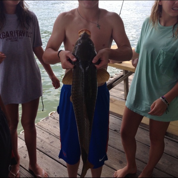 A photo of stevencrider22's catch