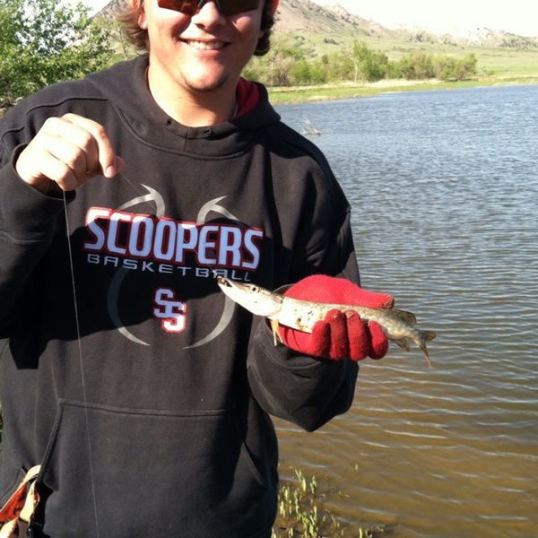 A photo of rjburke5's catch