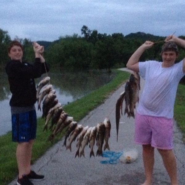 A photo of proangler's catch
