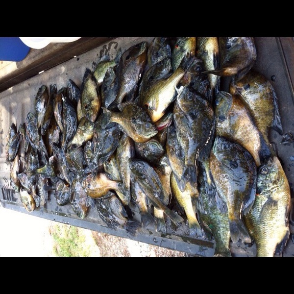 A photo of adam puckett's catch