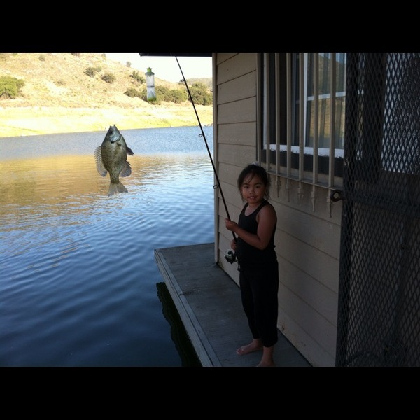 A photo of ALLDAY_SLABZ's catch