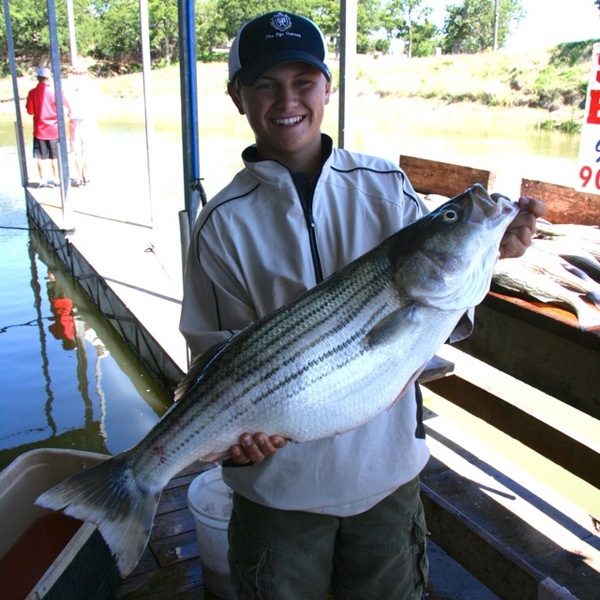 A photo of jake34kuwitzky's catch