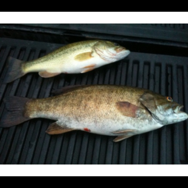 A photo of Tyler Long's catch