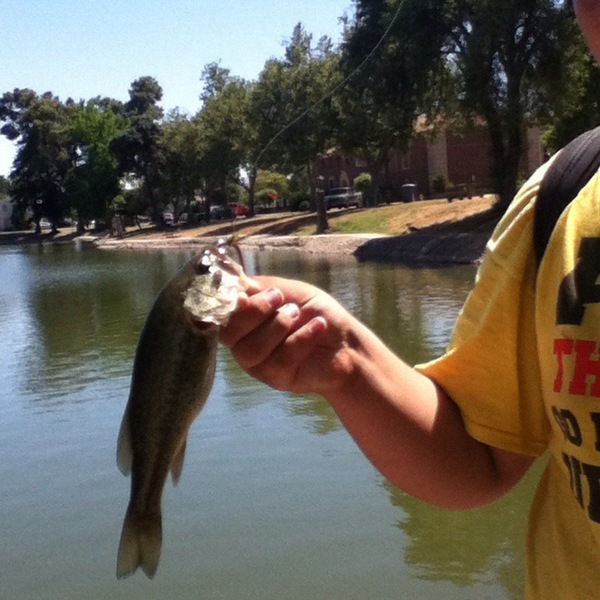 A photo of bigfish_army6969's catch