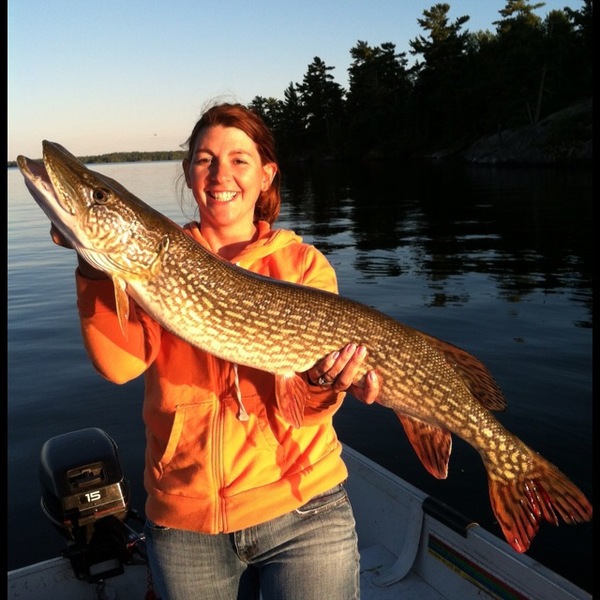 A photo of kellrn79's catch