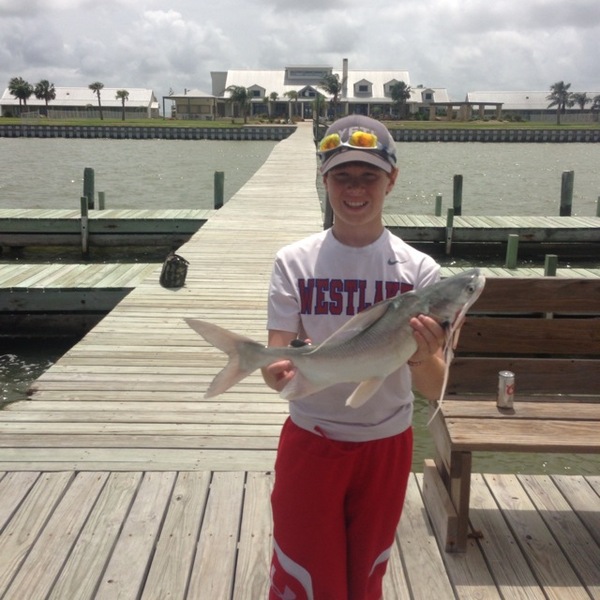 A photo of thadanderson71's catch