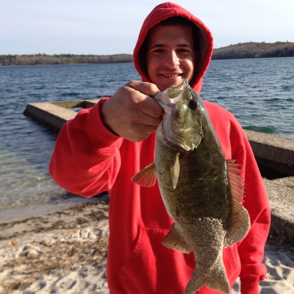 A photo of nick14's catch