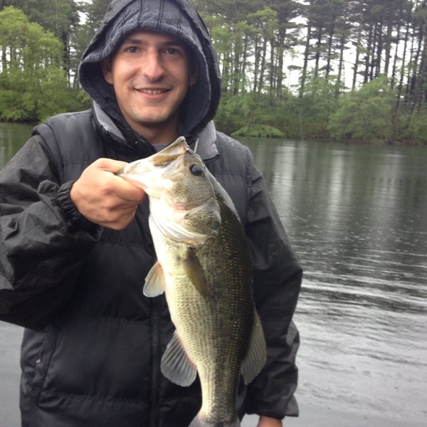 A photo of nick14's catch