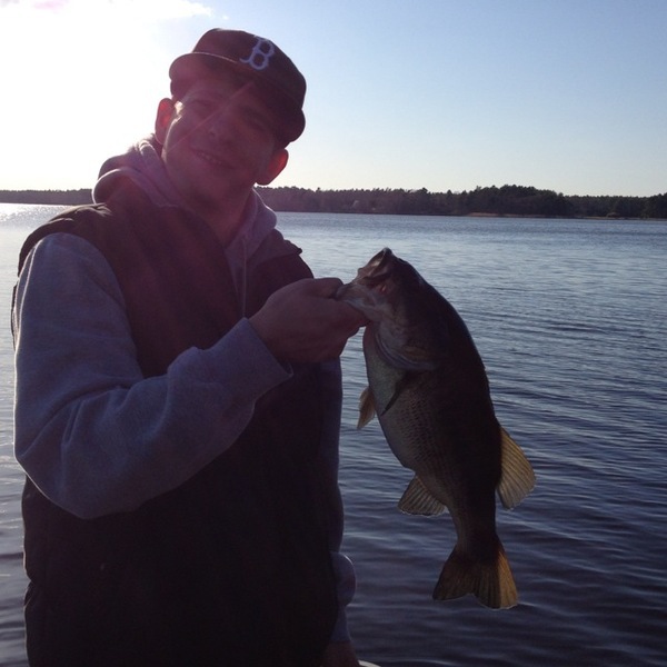 A photo of nick14's catch