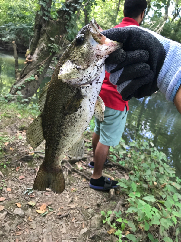 A photo of Vik L's catch