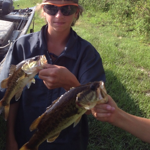 A photo of keatinherring's catch