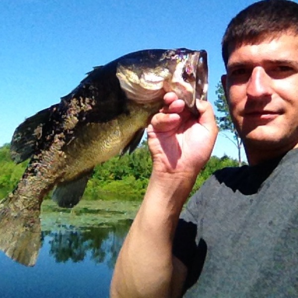 A photo of nick14's catch