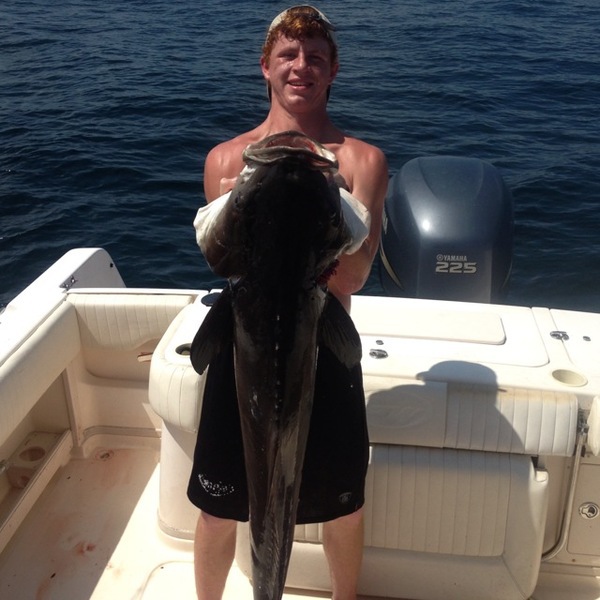 A photo of The_Reel_King14's catch