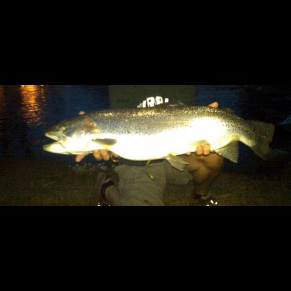 A photo of danfrenchy's catch