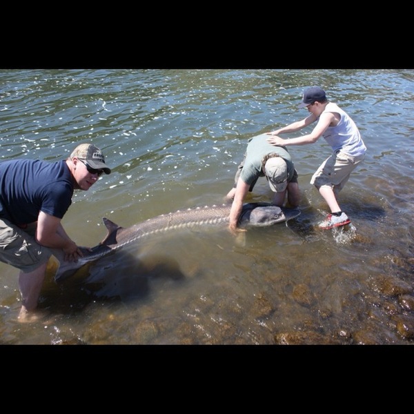 A photo of superhunter333's catch