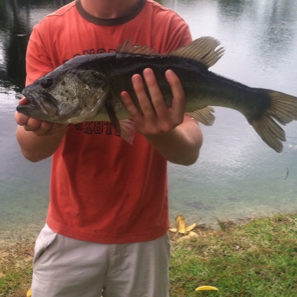 A photo of justin fredeen's catch