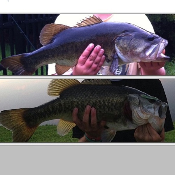 A photo of bass__slayer48's catch