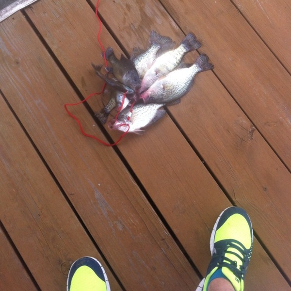 A photo of caledake's catch