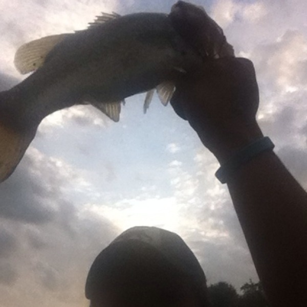 A photo of Tripp Tripp's catch