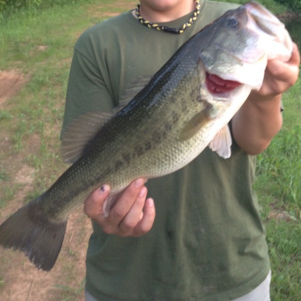 A photo of mmonster22's catch