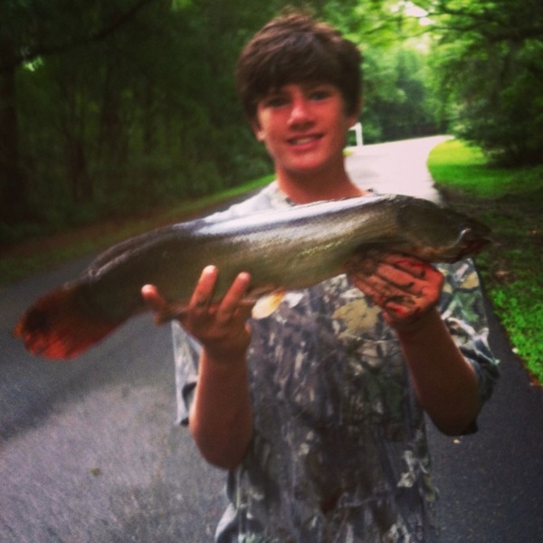A photo of brecken9's catch