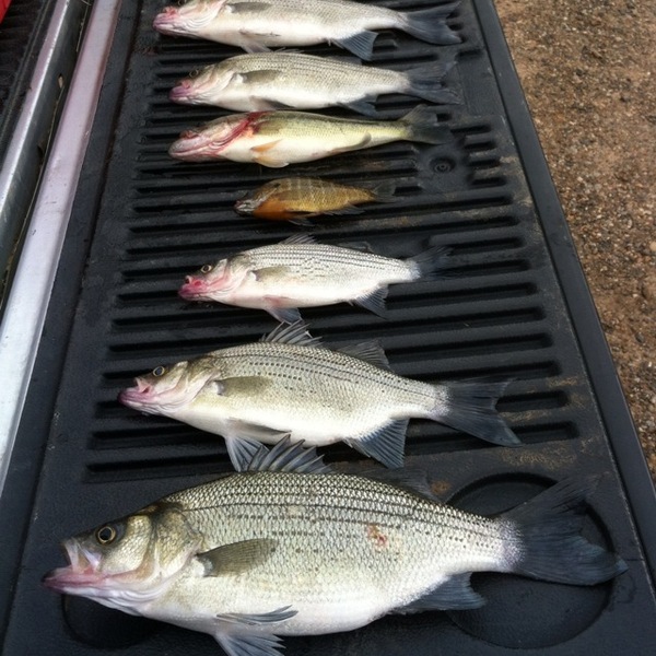 A photo of Block101's catch