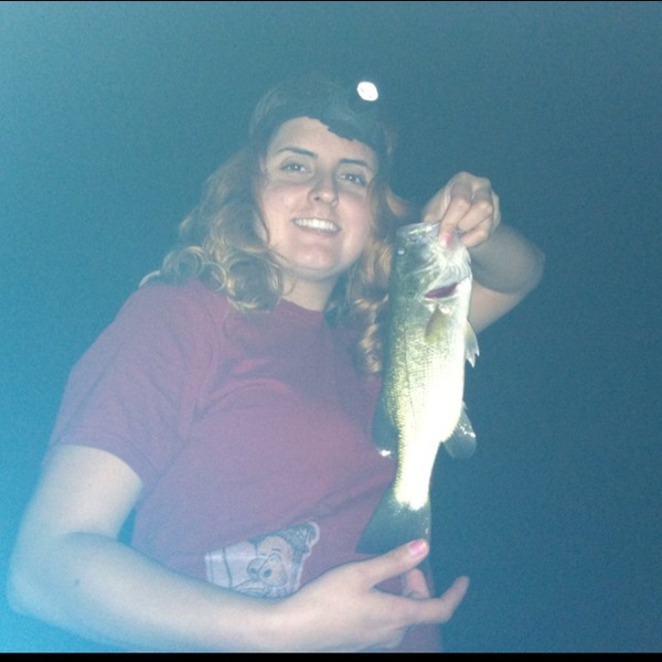 A photo of Cactus_Wren_Outdoors's catch