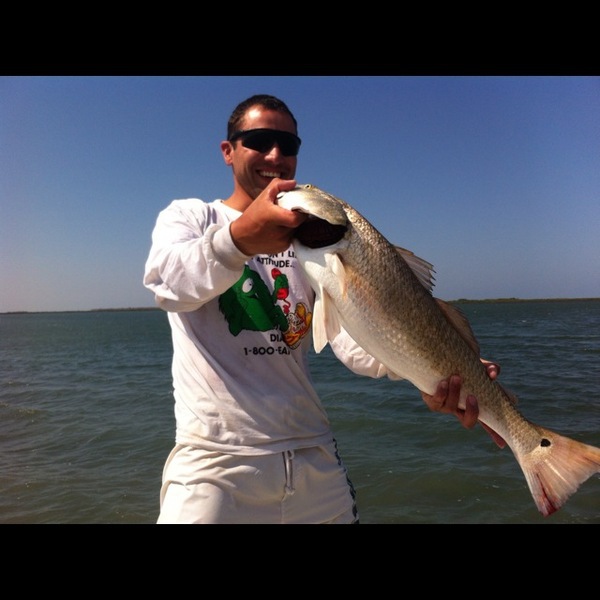 A photo of jam6lime's catch